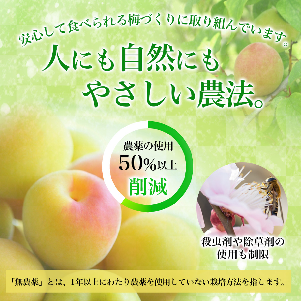 梅干し  無添加 訳あり はちみつ梅干 1kg（500×2） 紀州梅香 / 塩分6％ 和歌山 梅干し 紀州南高梅 南高梅 梅干 梅 うめ 肉厚 お米 おにぎり 焼酎【baiko001A】