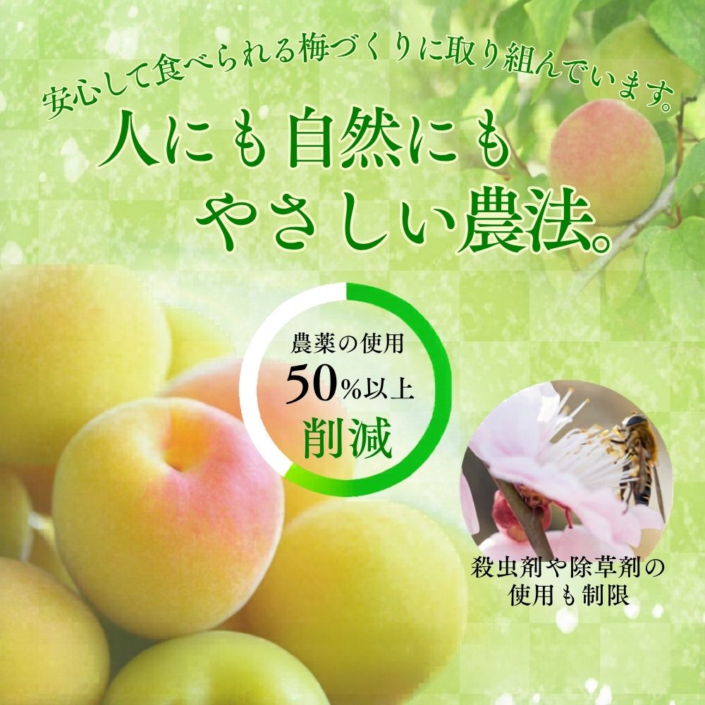 梅干し  無添加 訳あり はちみつ梅干 1kg（500×2） 紀州梅香 / 塩分6％ 和歌山 梅干し 紀州南高梅 南高梅 梅干 梅 うめ 肉厚 お米 おにぎり 焼酎【baiko001A】