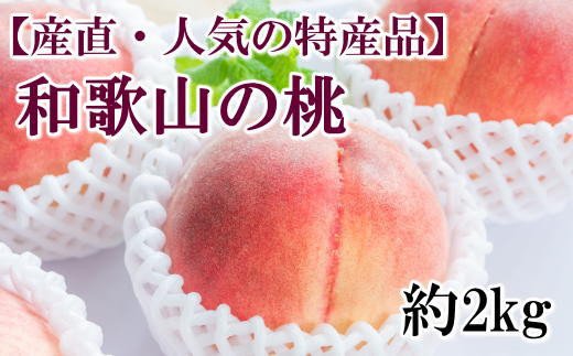 【産直・人気の特産品】和歌山の桃　約2kg・秀選品※2024年6月下旬頃から8月上旬頃順次発送