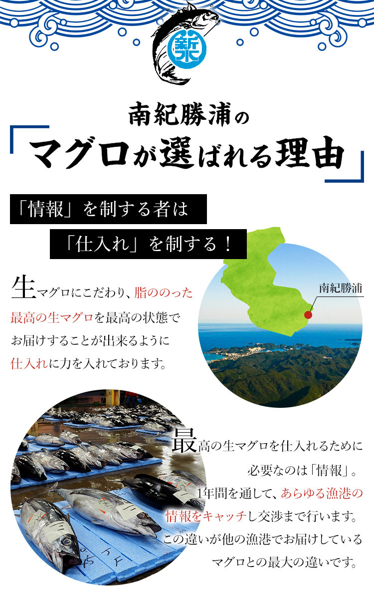 水揚げ高日本一！ 南紀勝浦産 生まぐろ ブロック 約500g マグロ まぐろ 鮪 赤身 ブロック 刺身 冷蔵