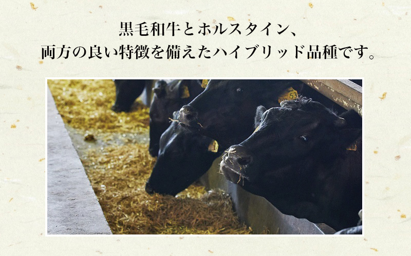 紀和牛すき焼き用赤身500g 【冷蔵】/ 牛  肉 牛肉 紀和牛 ロース  赤身 すきやき 500g