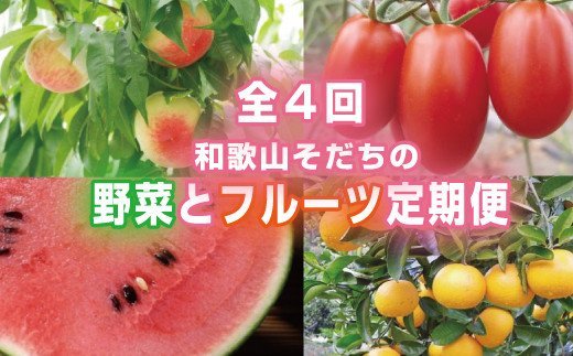 【４か月定期便】和歌山産そだちの野菜とフルーツ定期便♪（八朔・トマト・すいか・桃） 定期便 八朔 トマト すいか 桃