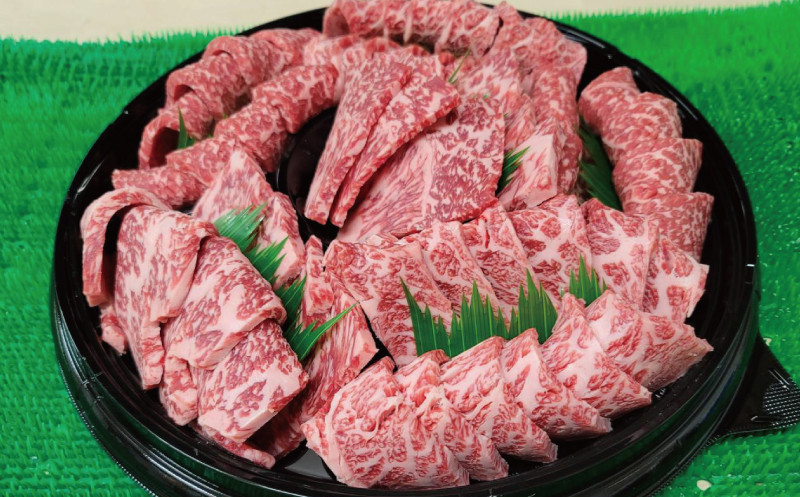プレミアム熊野牛 焼肉 ４８０ｇ / 牛肉 肉 牛 焼き肉 和牛 牛 贈り物 