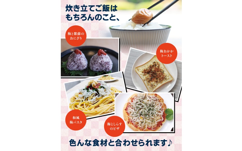 訳あり 紀州南高梅 ＜つぶれ梅＞うす塩750g【ハチミツ入】塩分10%　なかやまさんちの梅干 うめ ウメ 梅干し