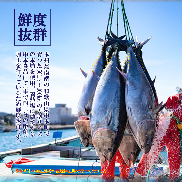 マグロねぎとろ 60g×8P 【1ヵ月以内に発送】 / まぐろ マグロ ねぎとろ まぐろたたき 鮪 赤身 冷凍