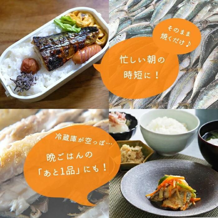 【ご家庭用】大容量！塩さばフィレ 2kg / 冷凍 さば 鯖 人気