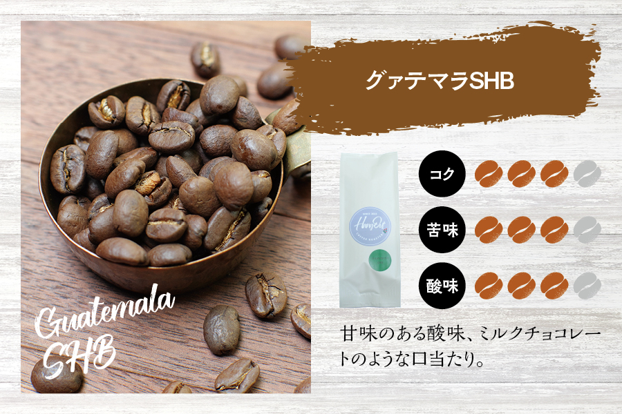 【挽き立て】（グァテマラ）ドリップバッグコーヒー10袋セット コーヒー豆 焙煎 コーヒー セット ドリップコーヒー