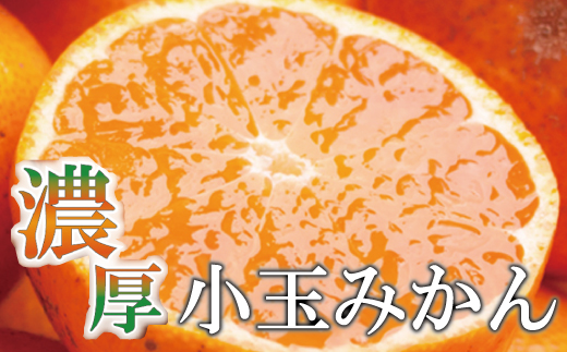 家庭用 小玉な有田みかん4kg+120g（傷み補償分）【わけあり・訳あり