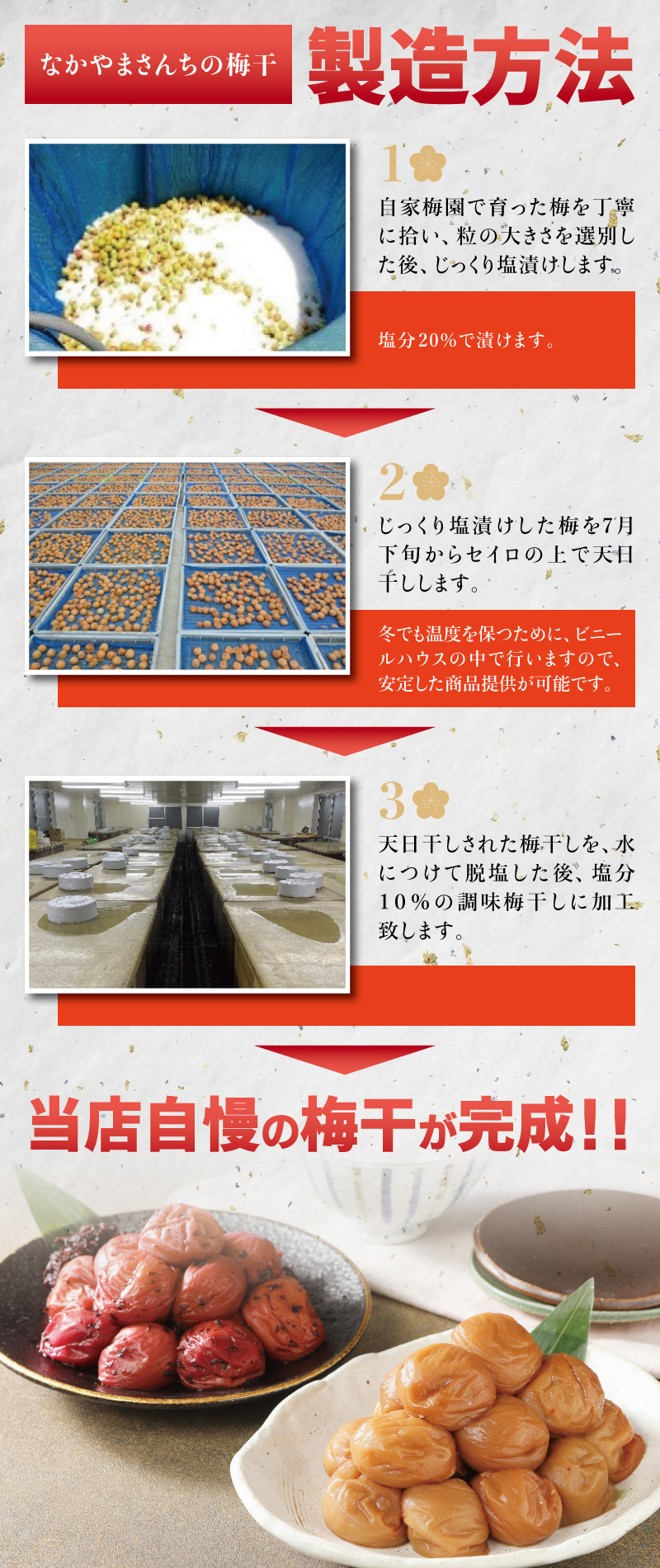 紀州南高梅　うす塩【ハチミツ入】 塩分5%（750g）なかやまさんちの梅干 うめ ウメ 梅干し