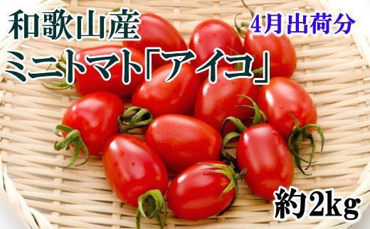 【2024年4月出荷分】和歌山産ミニトマト「アイコトマト」約2kg（S・Mサイズおまかせ）