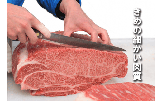 プレミアム熊野牛 焼肉 ４８０ｇ / 牛肉 肉 牛 焼き肉 和牛 牛 贈り物 