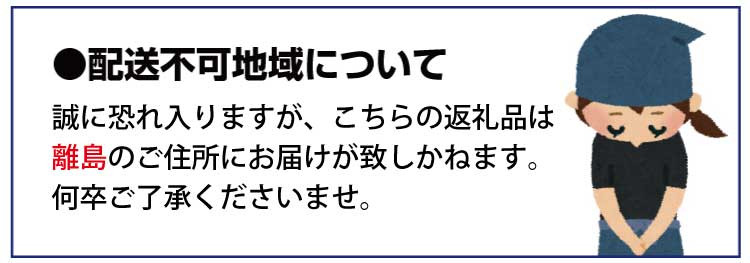 【天然鮭使用】大ボリューム！こだわり仕込の天然紅サケ切身 約1kg / サケ シャケ 切身 冷凍 人気