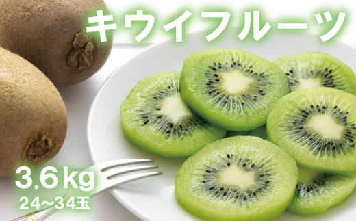 【人気】和歌山県産　厳選! 濃厚キウイフルーツ　秀品　24〜36玉　(約3.6kg)