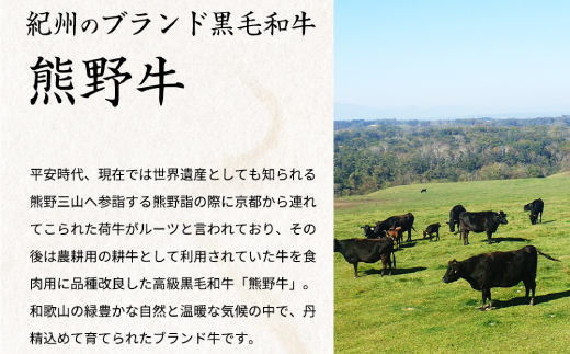 熊野牛A4以上ヒレシャトーブリアンステーキ200g(100g×2枚)＆霜降り赤身こま切れ300g 