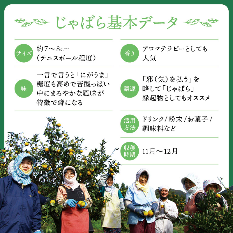 北山村のじゃばら果汁飴×5袋セット（6倍濃縮果汁入）【njb551A】