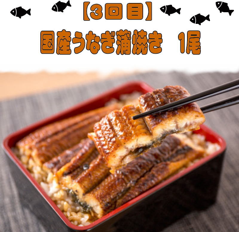 【全4回】魚鶴一押し！人気のお魚集合定期便（さば・銀鮭・うなぎ・海鮮丼）
