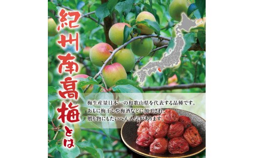 紀州南高梅　かつお【ハチミツ入】 塩分5%（750g）なかやまさんちの梅干 うめ ウメ 梅干し