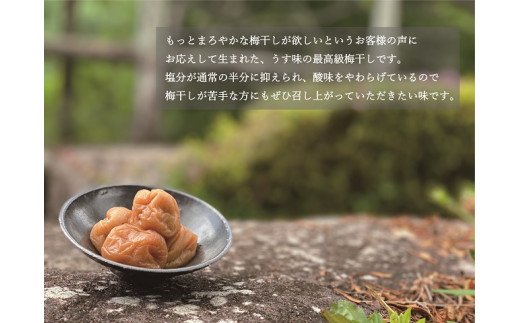 【贈答用】紀州南高梅 食べ比べセット 500g×2　（しそ・うす味）