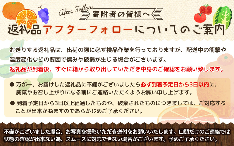 【全3回定期便】和歌山の旬のフルーツ定期便！人気の桃・ピオーネ・梨をお届け♪