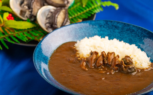 和歌山のアワビ屋さんがつくったあわびカレー 【170g×3袋】＜日付指定OK＞