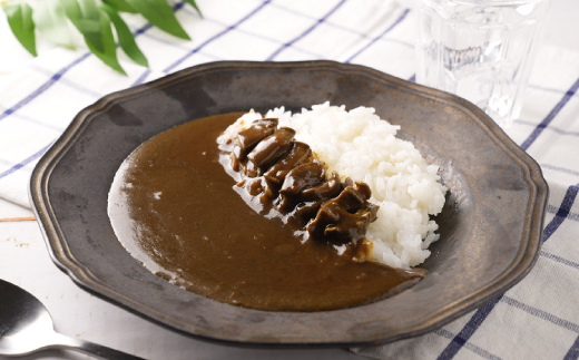 和歌山のアワビ屋さんがつくったあわびカレー 【170g×3袋】＜日付指定OK＞