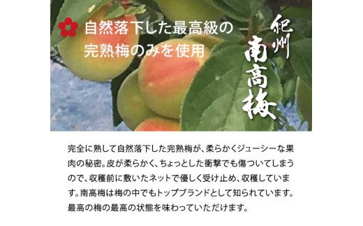 はちみつ梅干し1kg [大玉]３Ｌサイズ 紀州南高梅うめぼし和歌山産(化粧箱入)