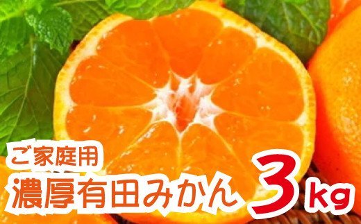 農園直送！濃厚有田みかん（ご家庭用）　約3kg