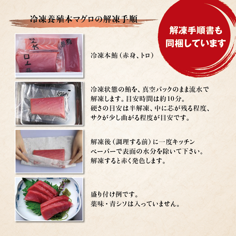 【期間限定 特別寄付額】本マグロ（養殖）トロ＆赤身セット 500g  【1月発送】高級 クロマグロ  中トロ 中とろ まぐろ マグロ 鮪 刺身 赤身 柵 じゃばらまぐろ 本マグロ 本鮪 【nks110B_cp-1】