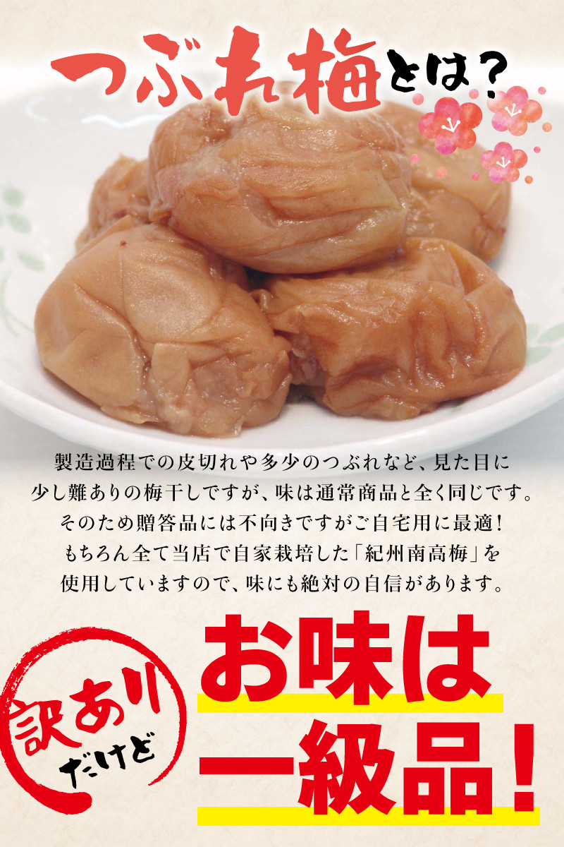 紀州南高梅 つぶれ梅 うす塩【ハチミツ入】塩分10%（500g）なかやまさんちの梅干 梅干し 梅干 梅 うめ ウメ