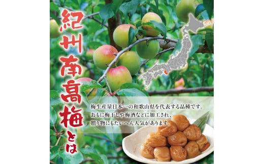 紀州南高梅　うす塩【ハチミツ入】 塩分10%（750g）なかやまさんちの梅干 うめ ウメ 梅干し