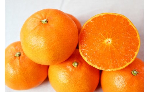 とろける食感！ジューシー柑橘　せとか　約3kg【予約】※2025年2月末頃～3月中旬頃発送(お届け日指定不可)