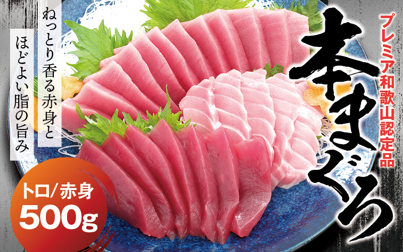 【期間限定 特別寄付額】本マグロ（養殖）トロ＆赤身セット 500g  【1月発送】高級 クロマグロ  中トロ 中とろ まぐろ マグロ 鮪 刺身 赤身 柵 じゃばらまぐろ 本マグロ 本鮪 【nks110B_cp-1】