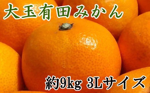 【食べごたえ十分】有田みかん大玉約9kg（3Lサイズ・秀品）　※2024年11月中旬～1月中旬頃順次発送予定（お届け日指定不可）