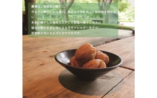 【贈答用】紀州南高梅 食べ比べセット 500g×2　（はちみつ・優梅）