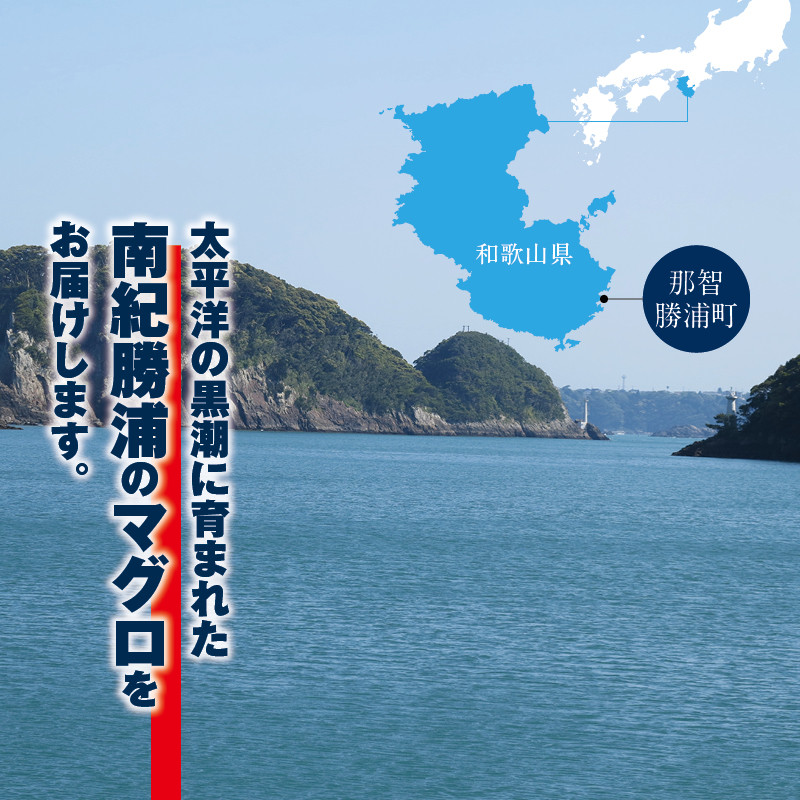 まぐろ とろ煮(180g)×3袋 まぐろ チャーシュー(1本約170g)×2袋 南紀勝浦