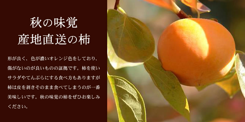 和歌山の 種なし 柿 約7.5kg【秀品：サイズ・品種おまかせ】和歌山県産/紀伊国屋文左衛門本舗　※2024年9月下旬～2024年11月下旬頃に順次発送予定(お届け日指定不可)