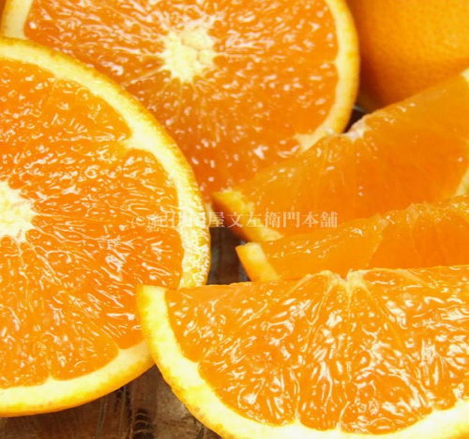 田村産清見オレンジ[約4.5kg]湯浅町田村産春みかん(果実サイズおまかせ)/紀伊国屋文左衛門本舗　※2026年3月中旬～2026年4月下旬頃発送予定【sgtb492A】