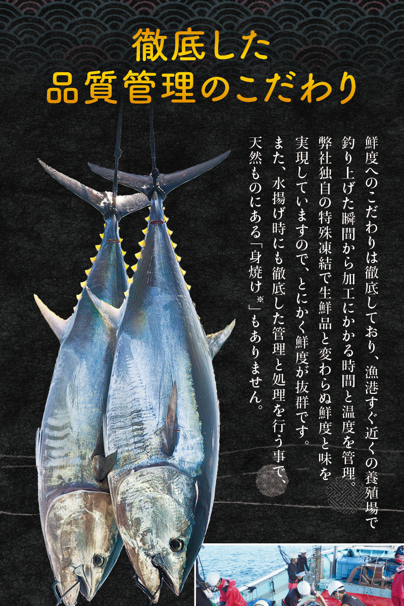 【期間限定 特別寄付額】本マグロ（養殖）トロ＆赤身セット 500g  【1月発送】高級 クロマグロ  中トロ 中とろ まぐろ マグロ 鮪 刺身 赤身 柵 じゃばらまぐろ 本マグロ 本鮪 【nks110B_cp-1】