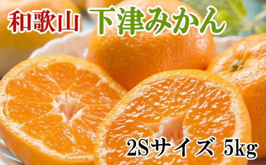 【産直・秀品】和歌山下津みかん　5kg(2Sサイズ) ※2024年11月中旬～2025年1月中旬頃に順次発送