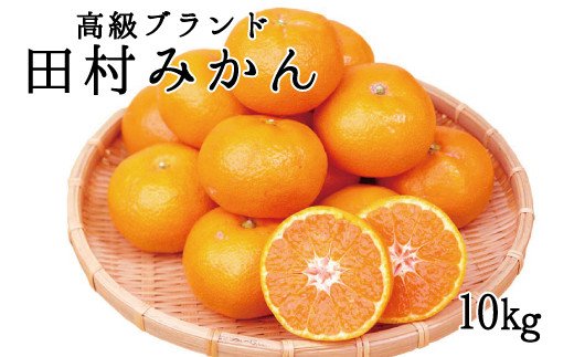 高級ブランド田村みかん　10kg【予約】※2024年11月下旬頃〜2025年1月下旬頃に順次発送予定(お届け日指定不可)