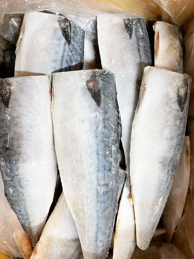 【ご家庭用】大容量！塩さばフィレ3.5kg　 / さば 鯖 おかず 冷凍 魚 切り身 焼き魚 焼魚 切身【uot749A】