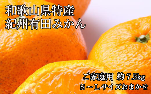 [ご家庭用]有田みかん約7.5kg(サイズ混合)【2024年11月中旬～2025年1月中旬頃に順次発送予定】