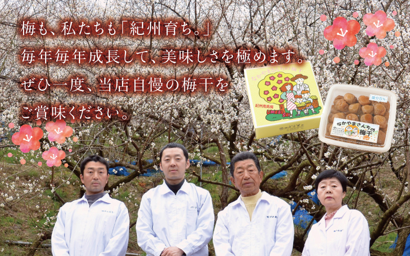 紀州南高梅 つぶれ梅 うす塩【ハチミツ入】塩分10%（500g）なかやまさんちの梅干 梅干し 梅干 梅 うめ ウメ