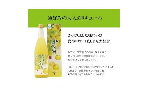 じゃばらのお酒 じゃばら村 720ml×2本（芳醇タイプ） 