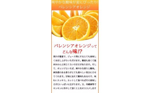 秀品　希少な国産バレンシアオレンジ　2.5kg　※2024年6月下旬頃～7月上旬頃順次発送（お届け日指定不可）