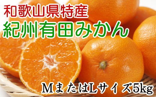 [秀品]和歌山有田みかん　5kg(MサイズまたはLサイズのいずれか) ※2024年11月中旬～1月中旬頃順次発送予定（お届け日指定不可）