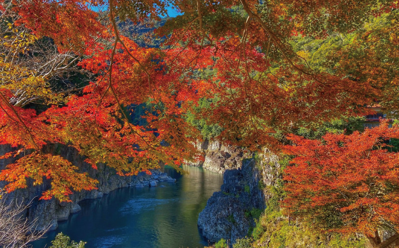 瀞峡めぐり乗船券（子ども1名分）【kbn004A】