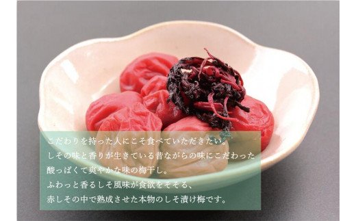 【贈答用】紀州南高梅 食べ比べセット 500g×2　（しそ・こんぶ風味）