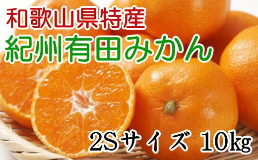 [秀品]和歌山有田みかん　約10kg(2Sサイズ)※2024年11月中旬～1月中旬頃順次発送予定（お届け日指定不可）