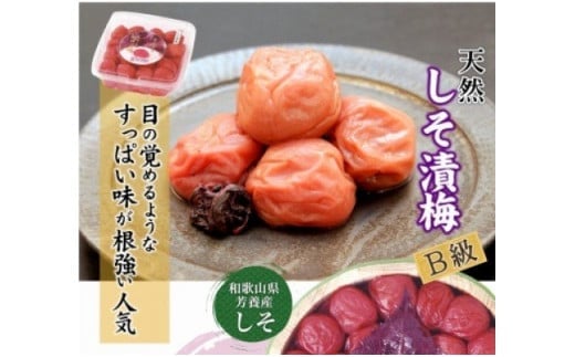 徳用　しそ漬梅１．８ｋｇ【紀の里食品】